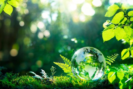 Environment.,Glass,Globe,On,Grass,Moss,In,Forest,-,Green